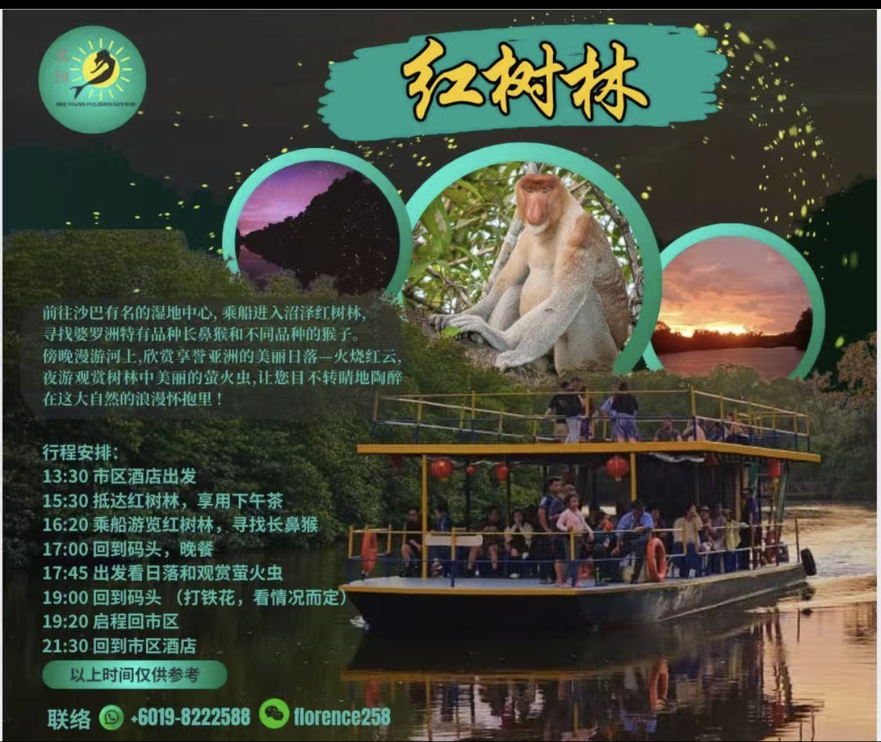 Mangrove Fireflies River Cruise